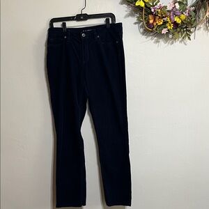 Lands' End Navy Corduroy Pants